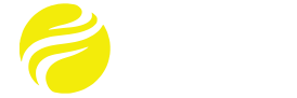 ELMER INITIATIVE